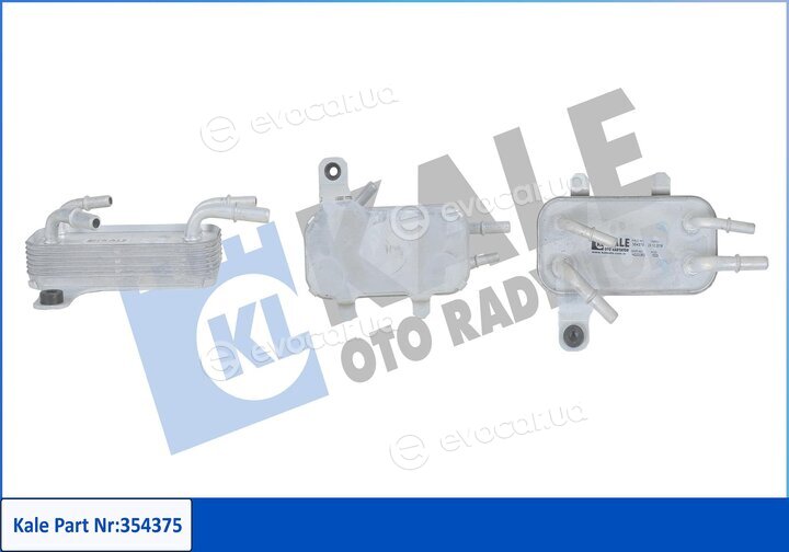 Kale 354375