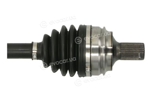 Pascal G2M029PC