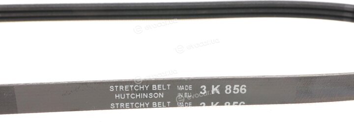 Hutchinson 856 SK 3