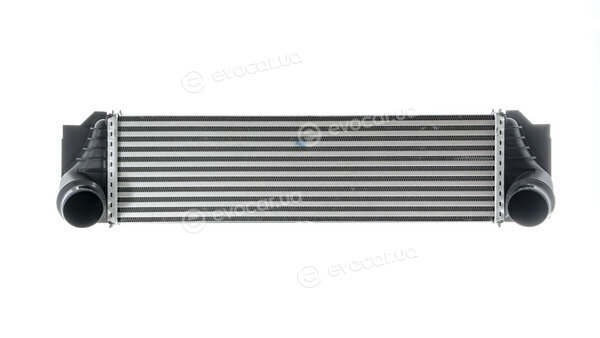 Mahle CI 184 000P