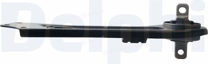 Delphi TC4541
