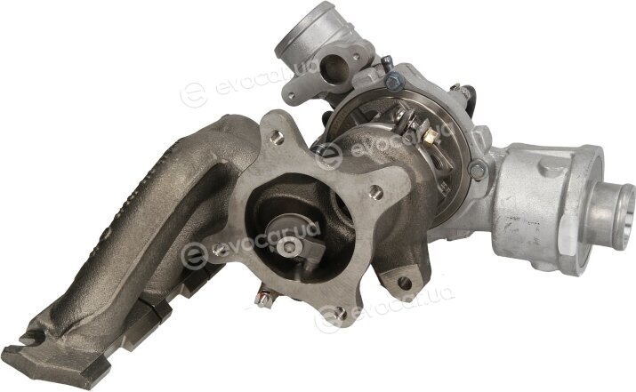 BorgWarner 53039880141