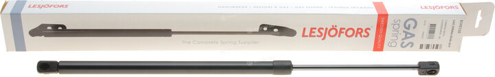 Lesjofors 8142110