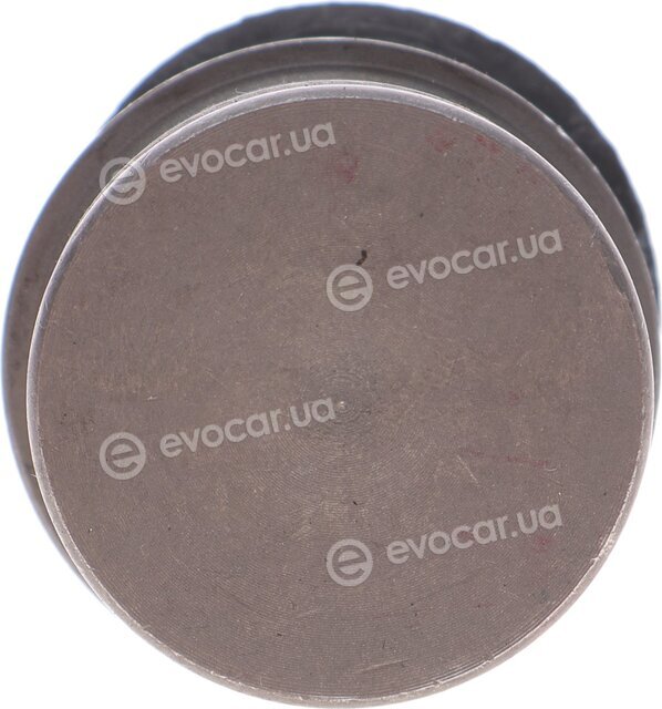 SKF VKDS 312509