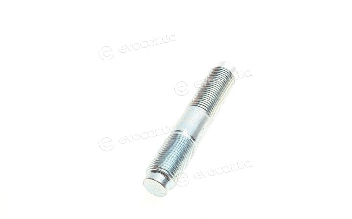 Solgy 216184