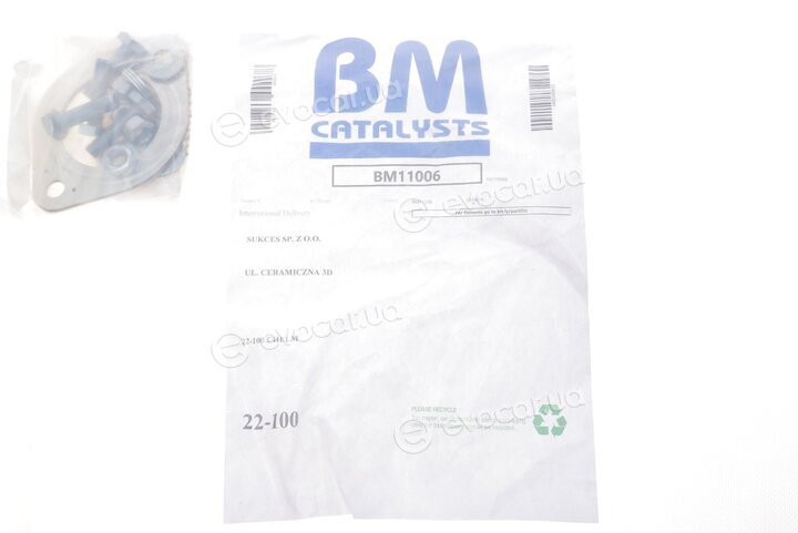 BM Catalysts BM11006