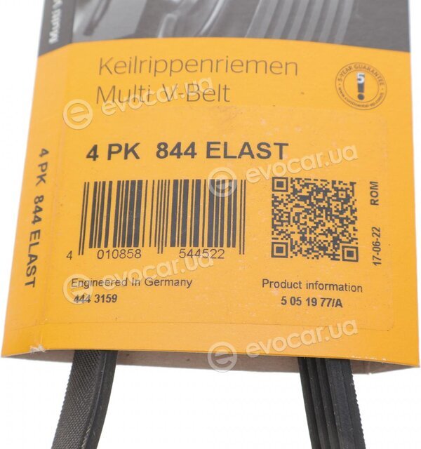 Continental 4PK844 ELAST