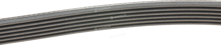 Continental 6PK2040