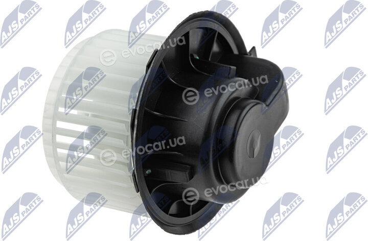 NTY EWN-VW-010