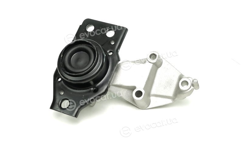 Sasic 2704007
