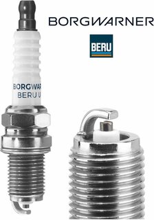 BorgWarner Z100