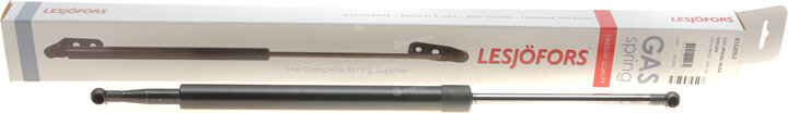 Lesjofors 8162052