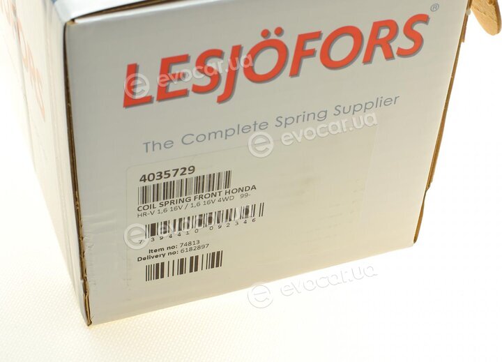 Lesjofors 4035729