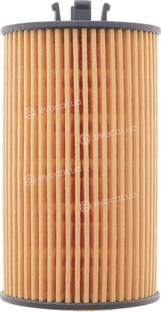 Solgy 101042