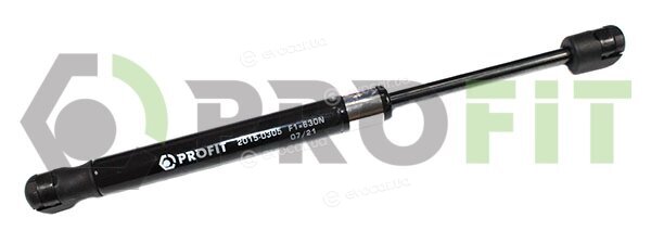 Profit 2015-0305