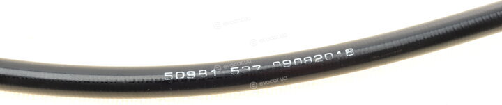 AIC 50981