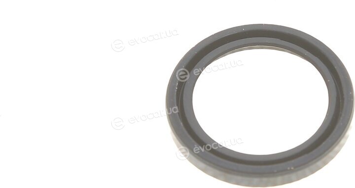 Solgy 221002