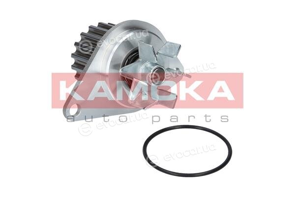 Kamoka T0089
