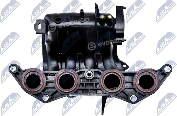 NTY BKS-PE-000