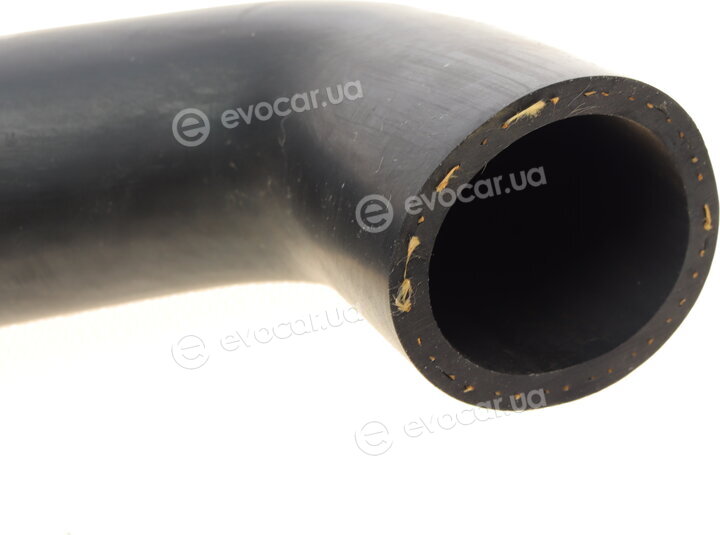 Solgy 114051