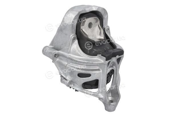 Reinhoch RH11-0176