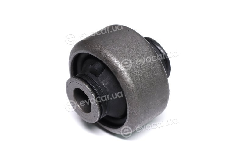 Sasic 2254008