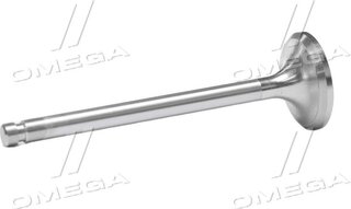 Gunes 3941