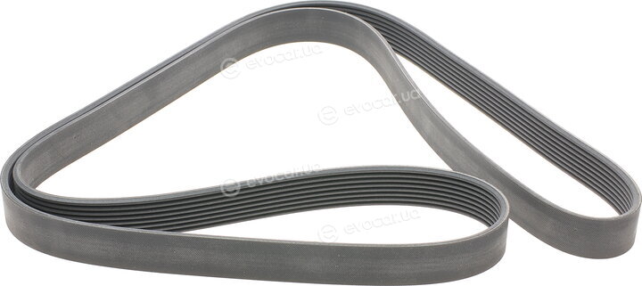 Continental 8PK2035