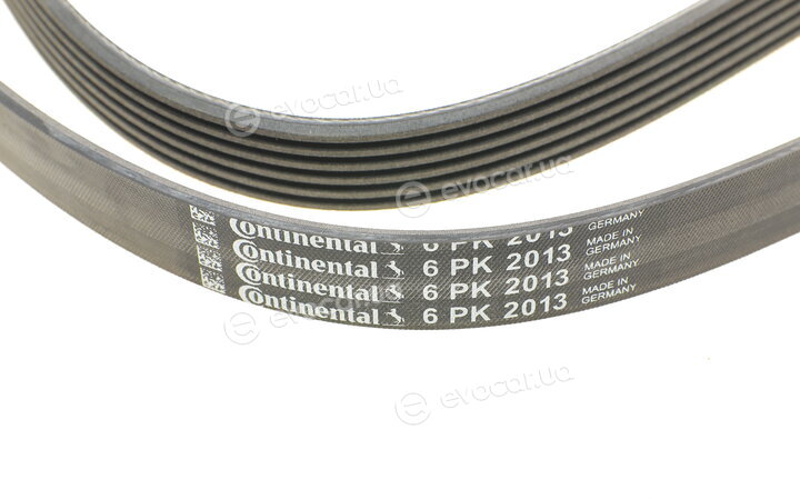 Continental 6PK2013
