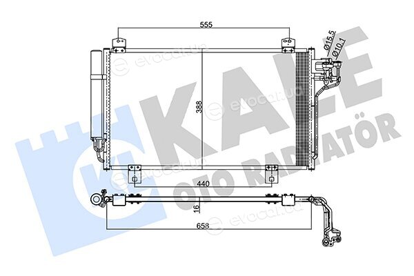 Kale 345495