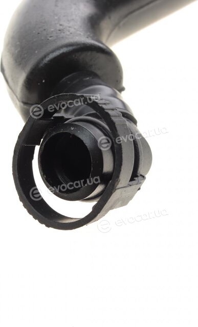 AIC 55992