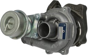 BorgWarner 54359880019