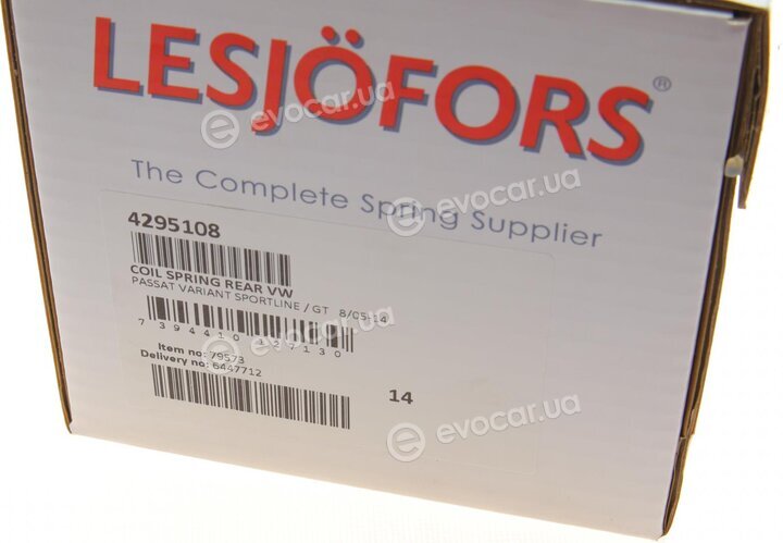 Lesjofors 4295108