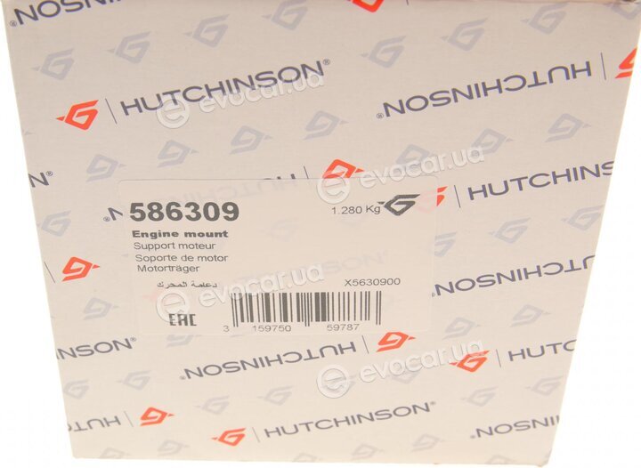 Hutchinson 586309