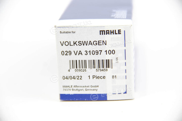 Mahle 029 VA 31097 100