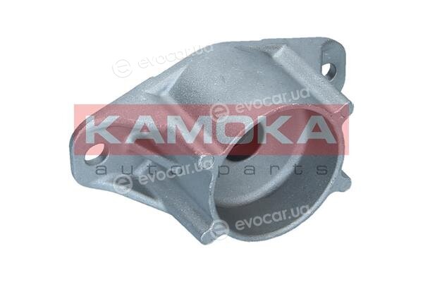 Kamoka 209237