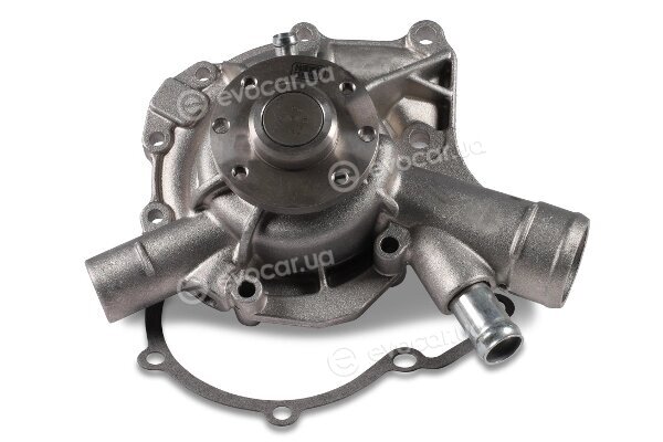 Hepu P145