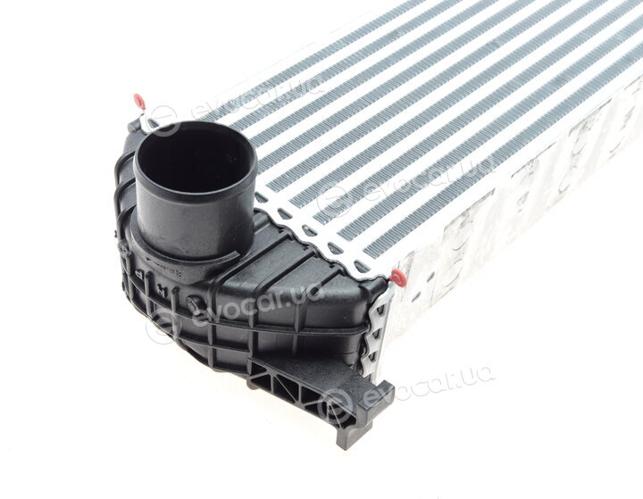 Mahle CI 243 000P