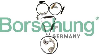 Borsehung B12736
