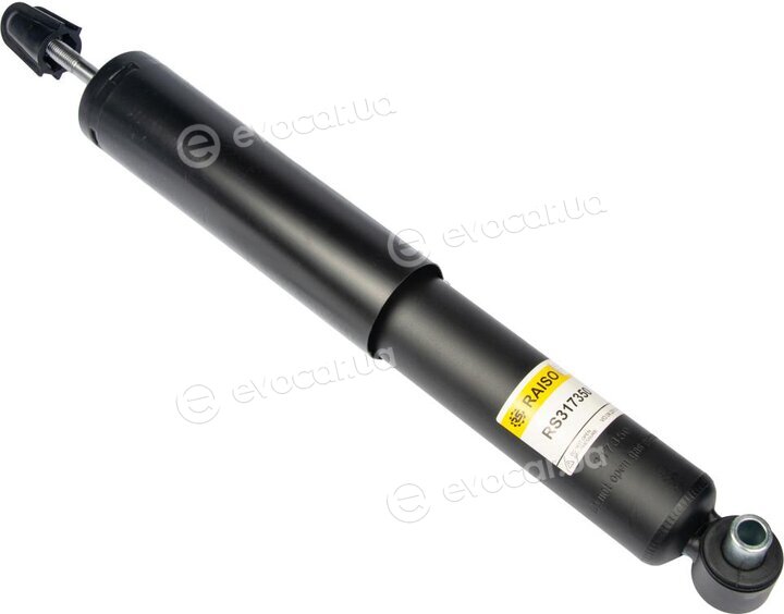 Raiso RS317350