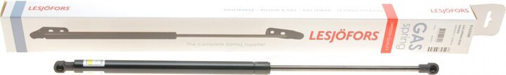 Lesjofors 8162048