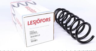 Lesjofors 4008498