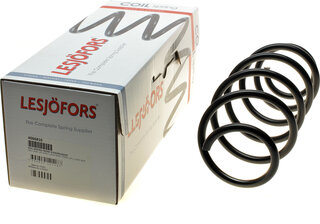 Lesjofors 4066810