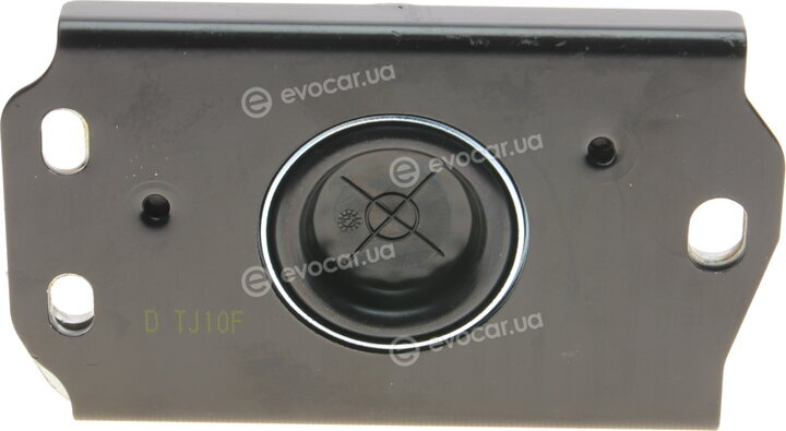 Delphi TEM043