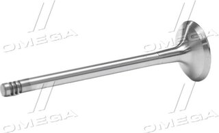 Gunes 4023