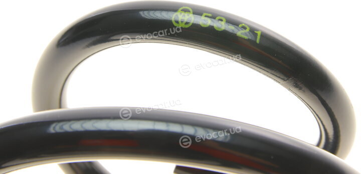 Borsehung B12623