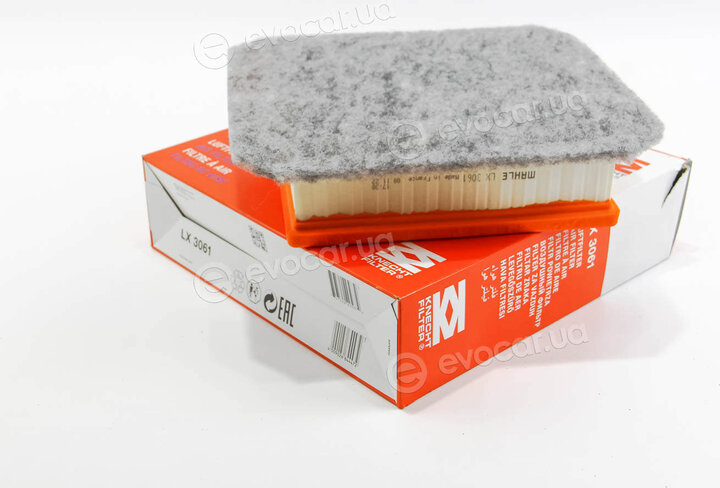 Mahle LX 3061