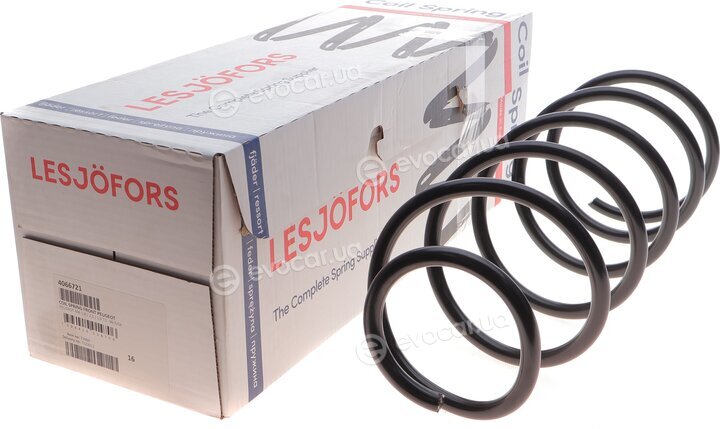 Lesjofors 4066721