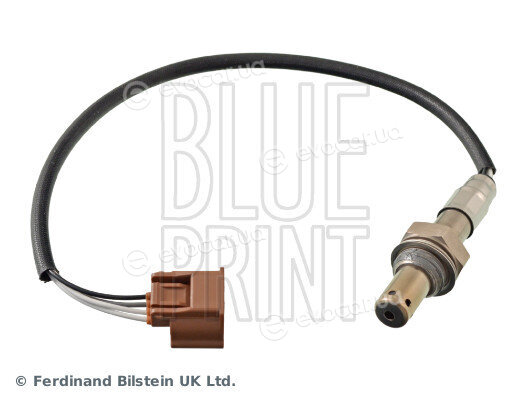 Blue Print ADN17059
