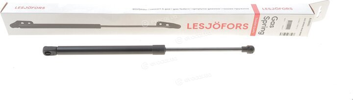 Lesjofors 8108421